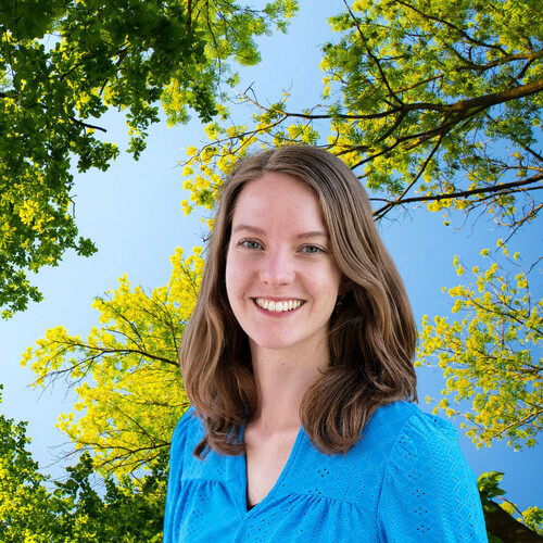 Aan de slag met hitte